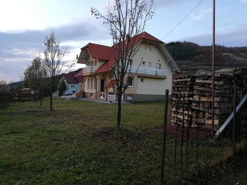 Гостевой дом Halasto Pension Прайд-7